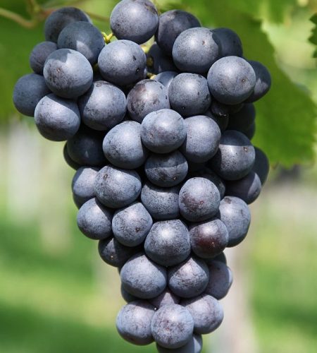 image 02